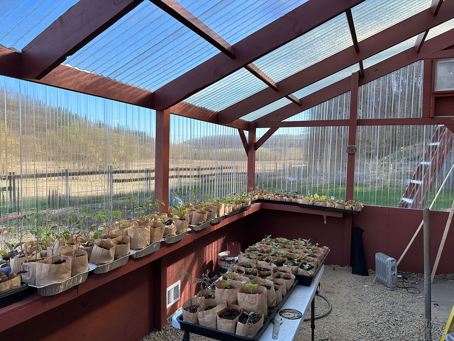 Starter greenhouse