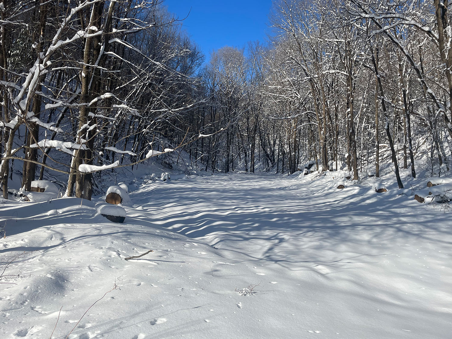 Snow Shoe trails behind Milkhouse